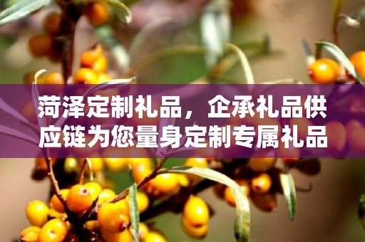 菏泽定制礼品，企承礼品供应链为您量身定制专属礼品