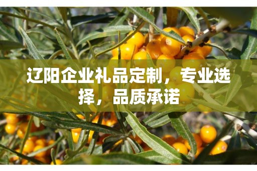 辽阳企业礼品定制，专业选择，品质承诺