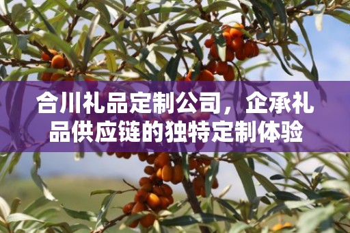 合川礼品定制公司，企承礼品供应链的独特定制体验